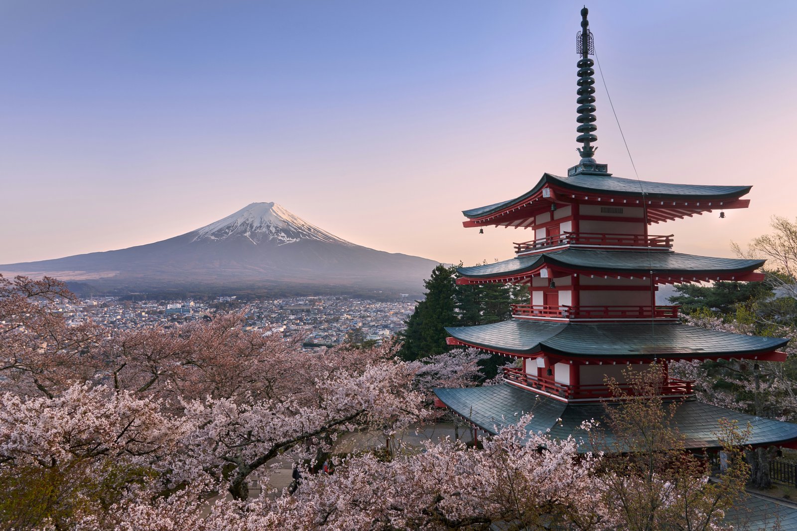 3+ Pax - Tokyo to Osaka - Japan Experience (10N/11D)